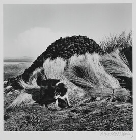 Sheepdog and Turf, Bloody Forland, Donegal, 1965, number 2 of 14, from the portfolio, Under the Influence