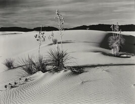 Yucca and Black Mountains, White Sands, New Mexico