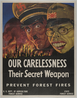 Our Carelessness Their Secret Weapon. Prevent Forest Fires