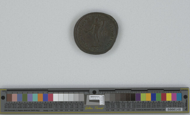 Alternate image #1 of Follis