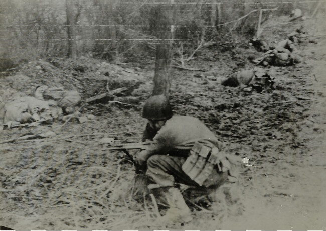 An Infantryman Looks at His Dead Comrades in Julich