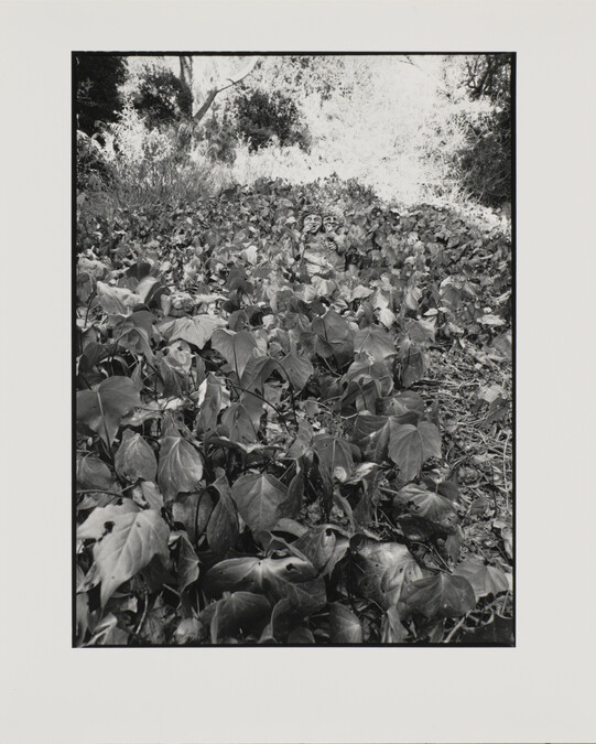 Garden Elves, House of Rexroth, Santa Barbara