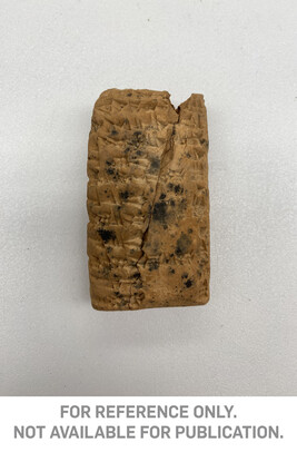 Cuneiform Peg