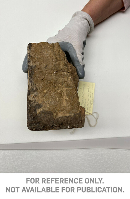 Fragment of an Inscribed Cuneiform Brick