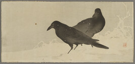 Two Black Crows in Snow