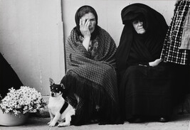 Elderly Woman, Puppy and Flowers, Portugal